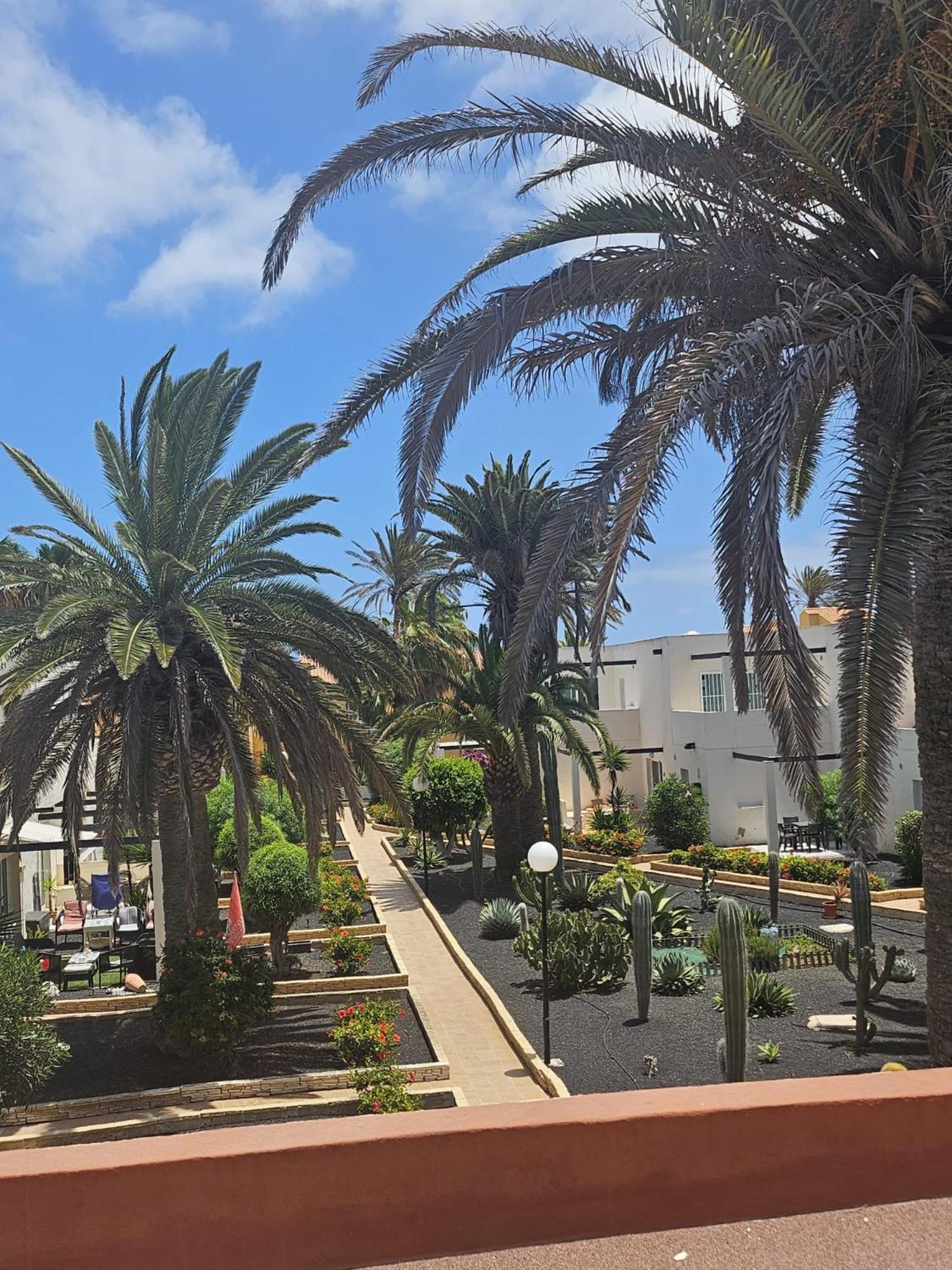 Appartement New Alisios Playa à Corralejo Extérieur photo