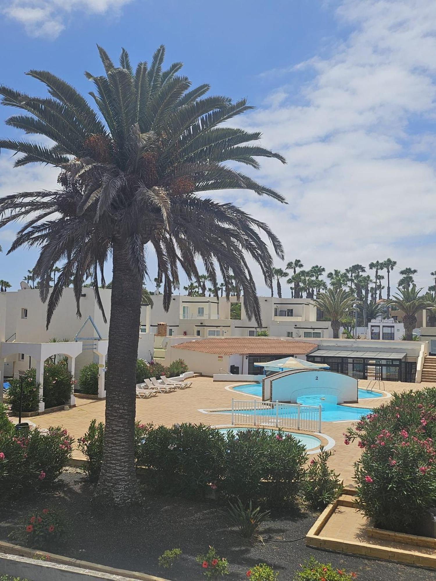 Appartement New Alisios Playa à Corralejo Extérieur photo